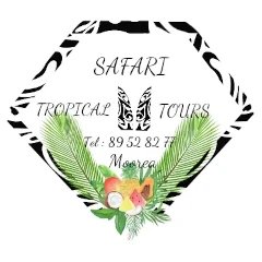 création du site web Saftropicaltours Tahiti